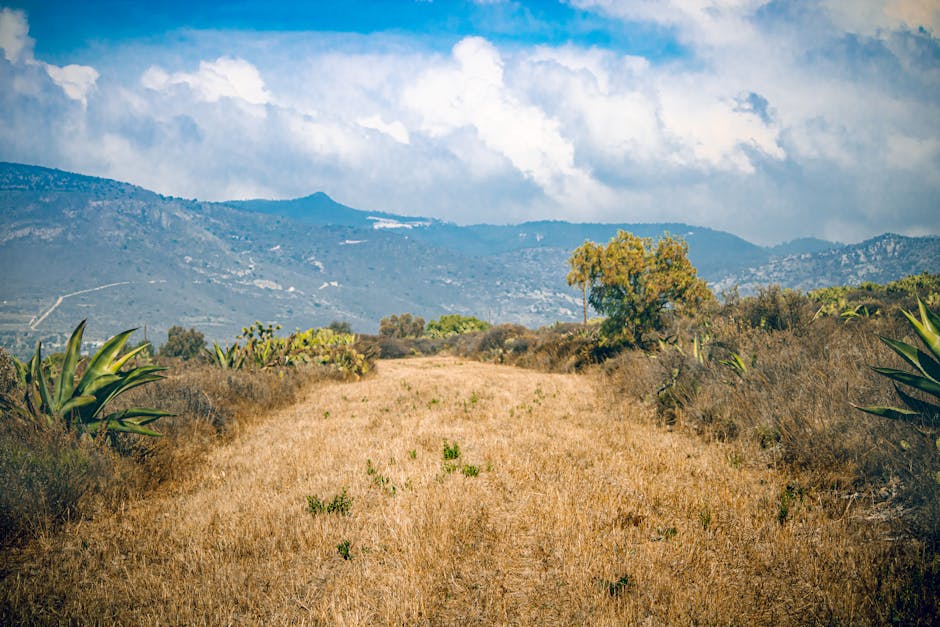 Explore the serene mountain trail with stunning landscape views in Pachuca de Soto, Mexico.