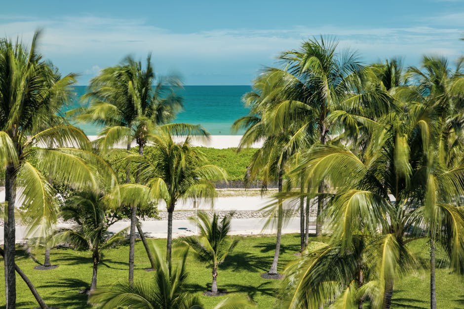 Palm trees sway against a backdrop of white sand and turquoise ocean in Miami Beach, Florida.