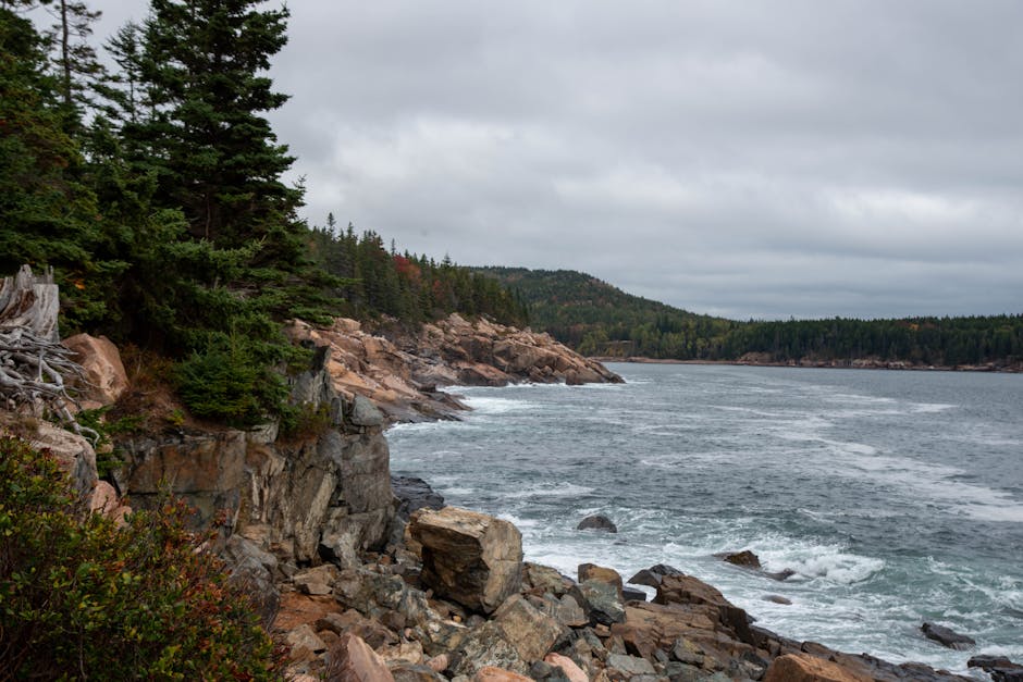 Stunning view of the rocky coastline in Acadia National Park, Maine, during fall.