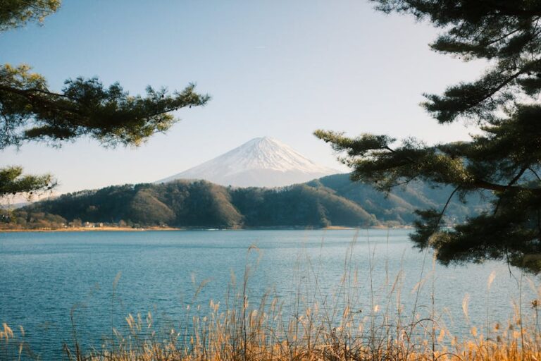 Breathtaking view of Mount Fuji framed by trees, reflecting over a serene lake in Fujikawaguchiko, Japan.