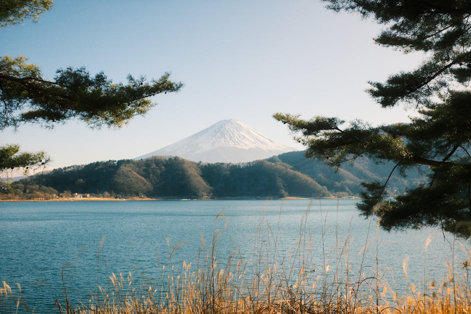 Breathtaking view of Mount Fuji framed by trees, reflecting over a serene lake in Fujikawaguchiko, Japan.