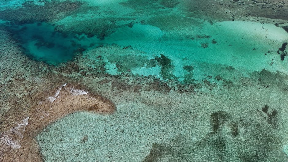 Stunning aerial shot of Bacalar Lagoon showcasing vibrant turquoise waters in Quintana Roo, Mexico.
