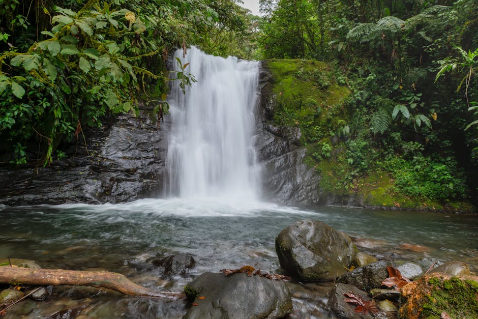 Breathtaking view of a waterfall cascading through lush green rainforest in Costa Rica.