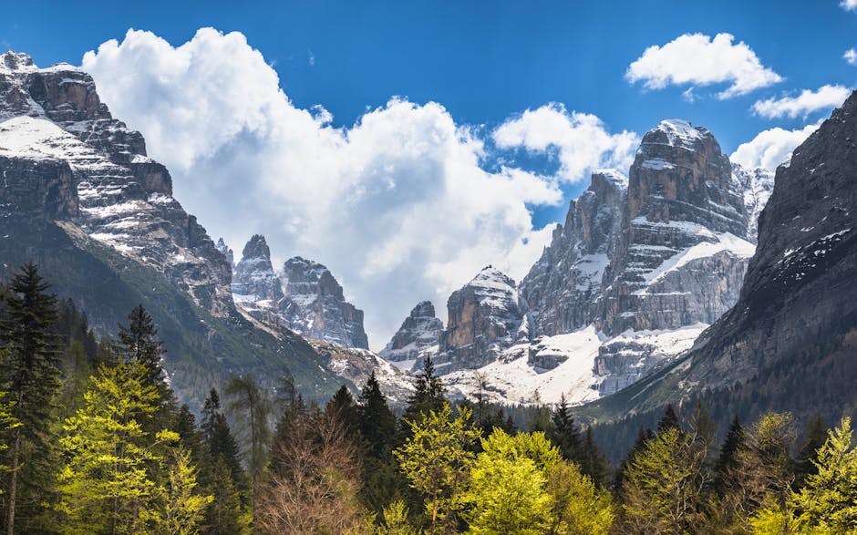 Breathtaking view of the Brenta Dolomites with lush forest and bright blue sky.
