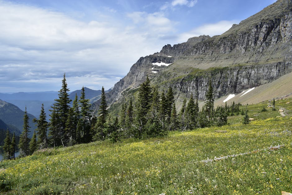 Explore the stunning mountain landscapes and meadows of Montana in this breathtaking outdoor summer scene.