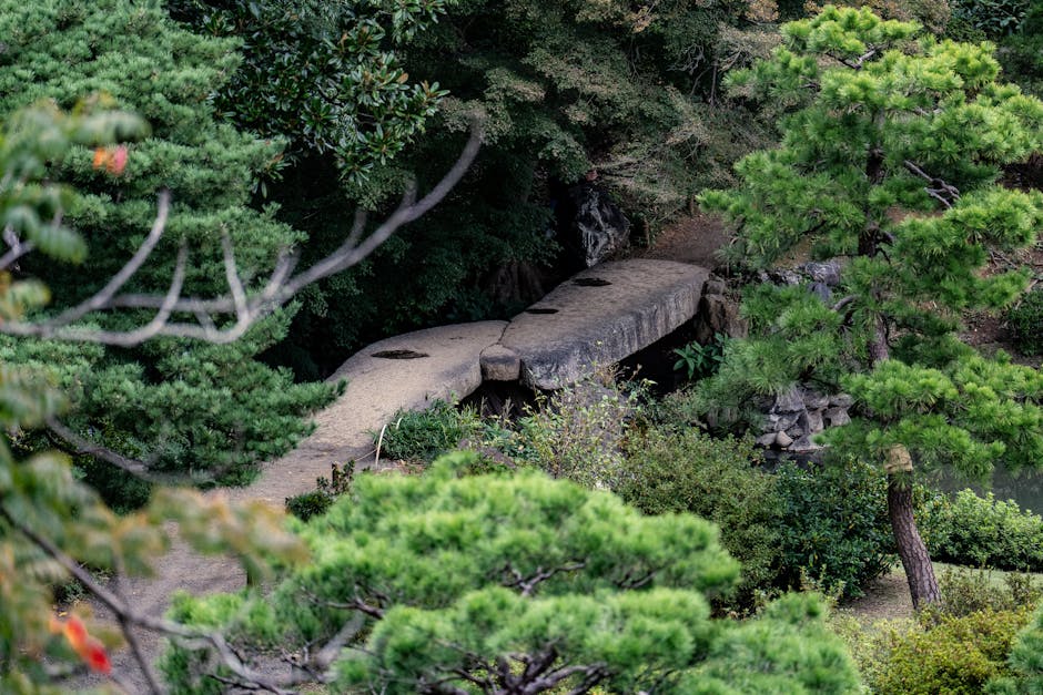 Stone pathway through lush greenery in a tranquil Japanese garden.