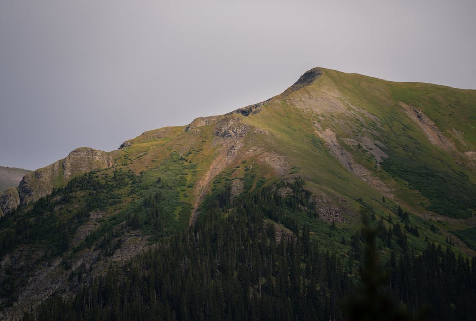Breathtaking view of lush green mountain peaks in San Juan National Forest.