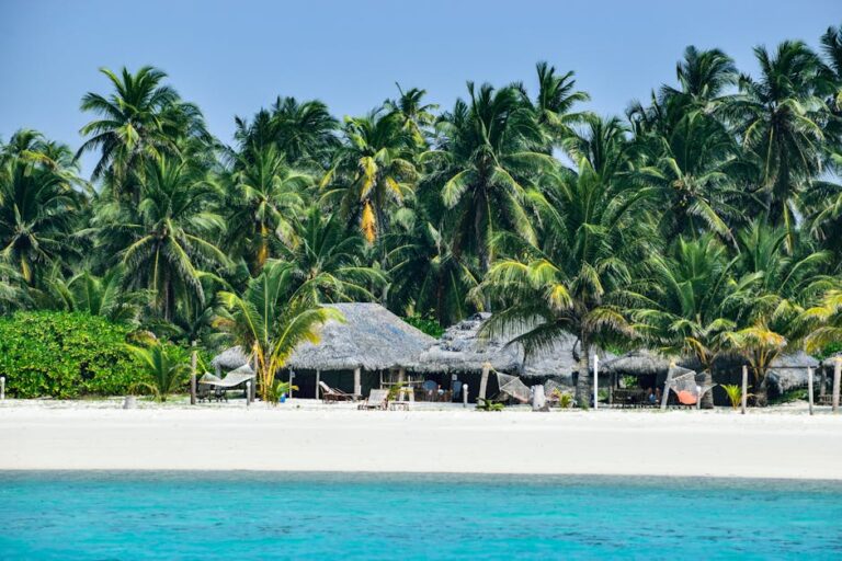 Idyllic beach scene with palm trees and huts on an Indian island shore.