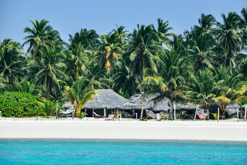 Idyllic beach scene with palm trees and huts on an Indian island shore.