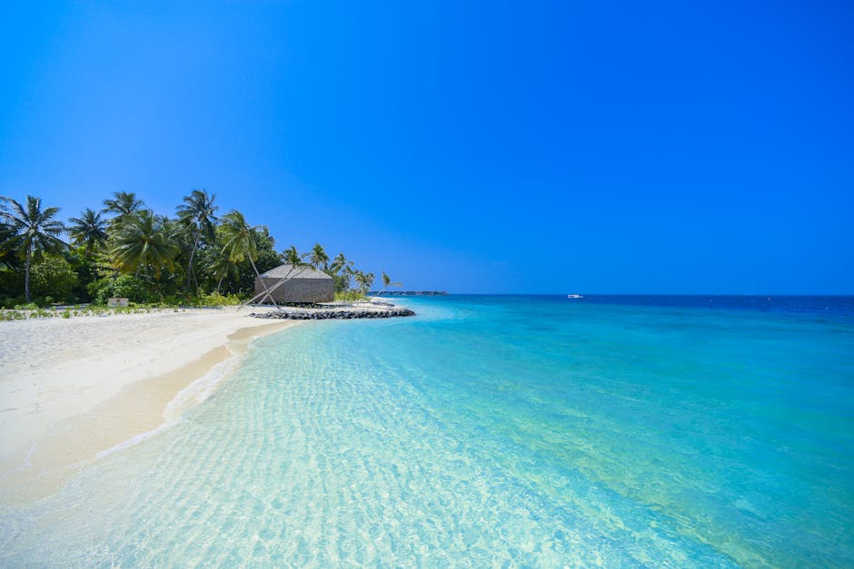 Crystal clear waters and palm trees on a tranquil Maldives beach.