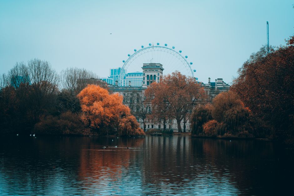 View of the London Eye with vibrant autumn trees reflecting in a serene park lake.