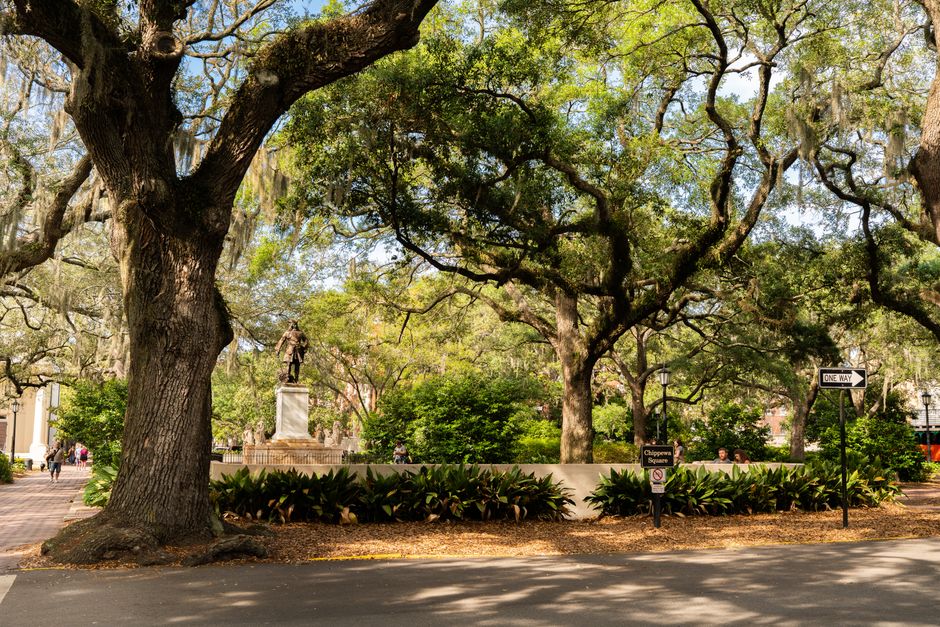 View of Chippewa Square in Savannah featuring lush live oaks and historical architecture.