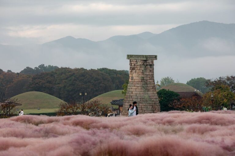 Couple walking by pink muhly grass and Cheomseongdae amidst serene Korean mountains.