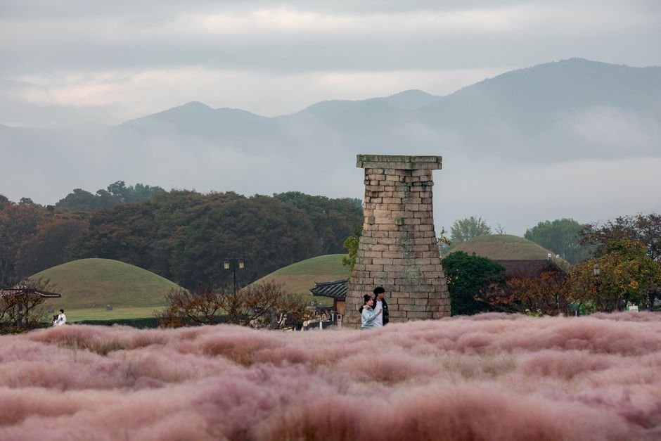 Couple walking by pink muhly grass and Cheomseongdae amidst serene Korean mountains.