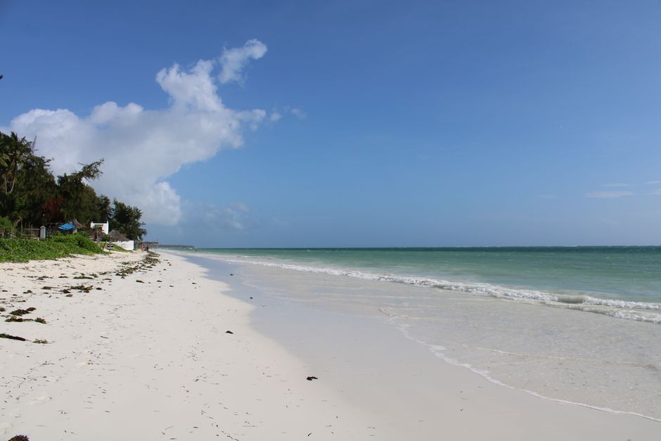 Idyllic white sand beach and azure ocean under clear skies in Zanzibar, Tanzania.
