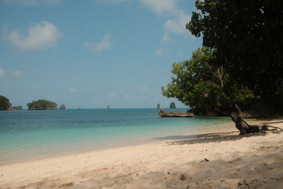 Beautiful beach scene with clear blue waters and lush greenery in Jawa Timur, Indonesia.