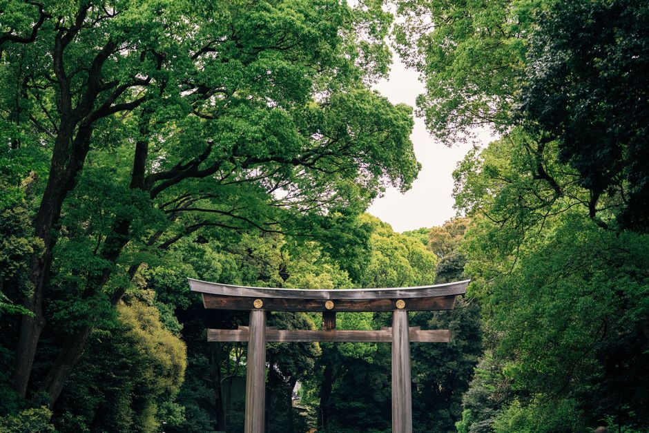 A serene view of a traditional Torii gate in Tokyo's vibrant forest setting, capturing nature's tranquility.