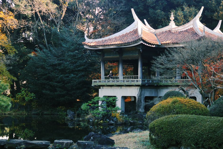 Scenic view of a Japanese pavilion surrounded by autumn foliage in a serene garden.